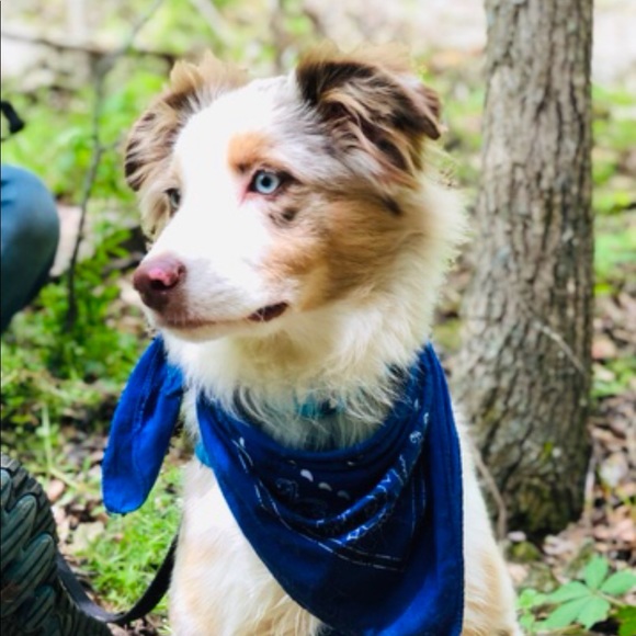 Meet your Posher, Amanda - Picture 2 of 6